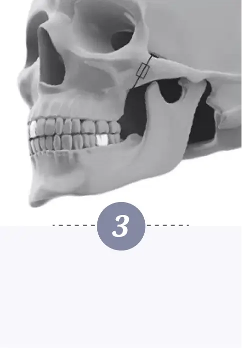 Cheekbone Contouring Step 3