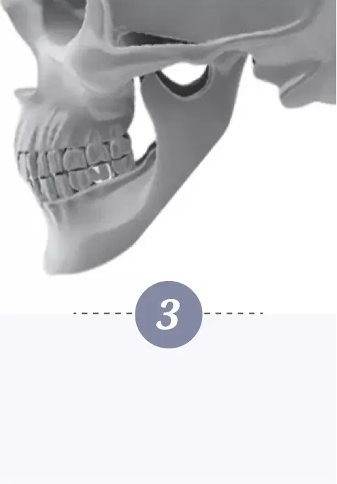 Jawbone Contouring Step 3