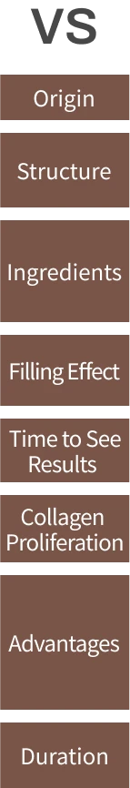 Comparison Items - Origin, Structure, Ingredients, Filling Effect, Time to See Results, Collagen Proliferation, Advantages, Duration of Effect