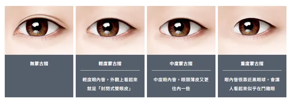 蒙古摺類型