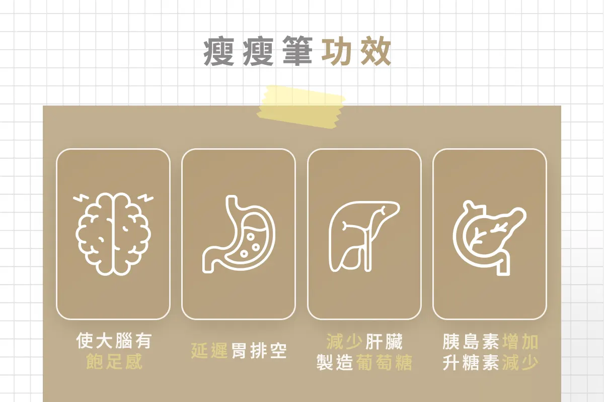 瘦瘦筆功效