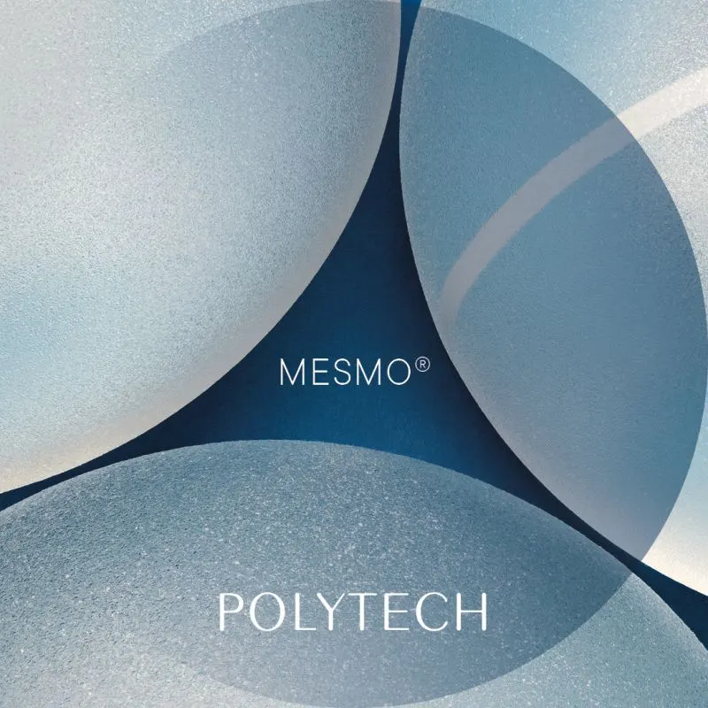 MESMO繆思女神波是甚麼？POLYTECH很有名嗎？